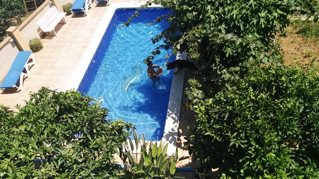 Apartamento Mar Y Montana อาร์เคนโตนา ภายนอก รูปภาพ